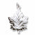 Maple Leaf charm in Sterling Silver hide-image