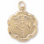 Registered Nurse charm in Yellow Gold Plated hide-image