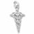 Caduceus charm in 14K White Gold hide-image