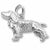 Springer Spaniel charm in 14K White Gold hide-image