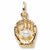 Baseball Glove charm in Yellow Gold Plated hide-image