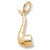 Pipe charm in Yellow Gold Plated hide-image