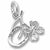 Good Luck charm in 14K White Gold hide-image