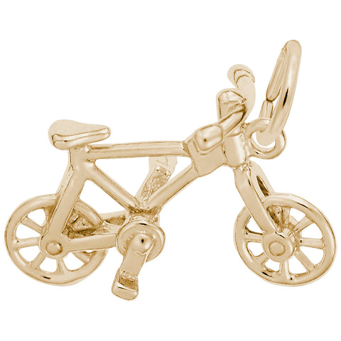 Bicycle Charm in Yellow Gold Plated