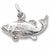 Fish charm in Sterling Silver hide-image