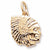 Indian Charm in 10k Yellow Gold hide-image