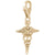 Caduceus Charm in Yellow Gold Plated