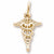 Caduceus Charm in 10k Yellow Gold hide-image