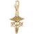 Rn Caduceus Charm In Yellow Gold