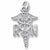 Rn Caduceus charm in Sterling Silver hide-image