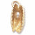 Shell With Pearl Charm in 10k Yellow Gold hide-image