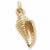 Shell charm in Yellow Gold Plated hide-image