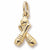 Bowling Charm in 10k Yellow Gold hide-image