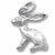 Bunny charm in 14K White Gold hide-image