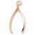 Wishbone charm in Yellow Gold Plated hide-image