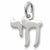 Chai charm in 14K White Gold hide-image