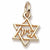 Star Of David charm in Yellow Gold Plated hide-image