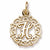 Initial H charm in 14K Yellow Gold