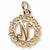 Initial N charm in Yellow Gold Plated hide-image