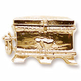 Hope Chest Charm in 10k Yellow Gold