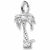 Palm Tree charm in Sterling Silver hide-image