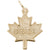 Maple Leaf, Canada Charm in Yellow Gold Plated