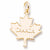 Maple Leaf, Canada charm in Yellow Gold Plated hide-image