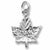 Ottawa charm in Sterling Silver hide-image