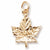Ottawa charm in Yellow Gold Plated hide-image