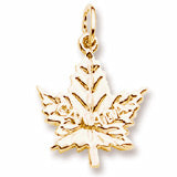 Maple Leaf, Canada charm in Yellow Gold Plated hide-image