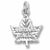 Niagara Falls Maple Leaf charm in Sterling Silver hide-image