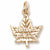 Niagara Falls Maple Leaf charm in Yellow Gold Plated hide-image