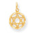 10k Yellow Gold STAR OF DAVID Charm hide-image