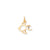 FISH Charm in 10k Yellow Gold