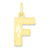 Initial F Charm in 10k Yellow Gold