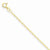 14K Yellow Gold Carded Cable Rope Chain