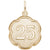 Number 25 Charm in Yellow Gold Plated