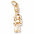 Guard charm in Yellow Gold Plated hide-image