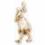 Hula Dancer charm in Yellow Gold Plated hide-image
