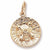 Roulette Wheel charm in Yellow Gold Plated hide-image