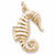 Seahorse Charm in 10k Yellow Gold hide-image