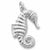 Seahorse charm in 14K White Gold hide-image