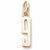 Number 9 charm in Yellow Gold Plated hide-image