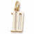 Number 10 charm in Yellow Gold Plated hide-image
