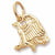 Eagle charm in Yellow Gold Plated hide-image