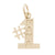 #1 Nana Charm in Yellow Gold Plated
