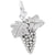 Grapes Charm In 14K White Gold