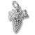Grapes charm in 14K White Gold hide-image