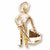 Bull Fighter charm in Yellow Gold Plated hide-image