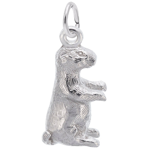 Groundhog Charm In Sterling Silver